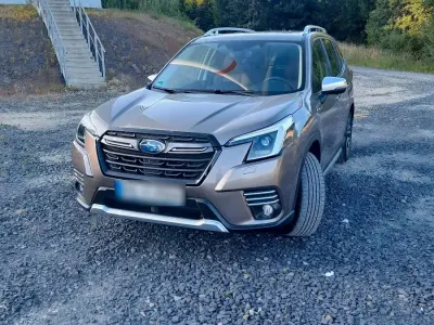 Gebraucht Subaru Forester