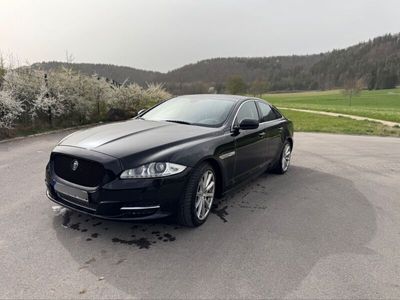 gebraucht Jaguar XJ X351 3.0L V6 Diesel