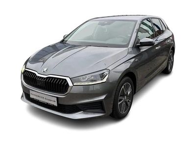 Gebraucht Skoda Fabia Ambiente 110 PS (80 kW) 2022 Grau Kleinwagen