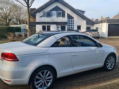 Gebraucht VW Eos 200 PS (147 kW) 2020 Weiß Cabrio