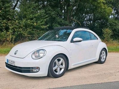 VW Beetle