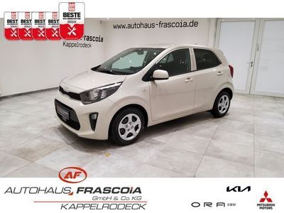 gebraucht Kia Picanto Vision 1.2 Rückfahrkam. SHZ LenkradHZG. Apple CarPlay Android Auto Bluetooth