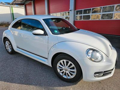 VW Beetle