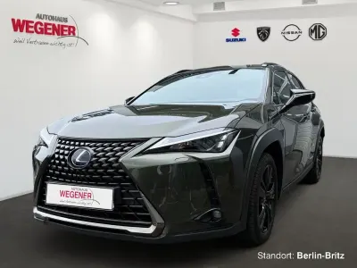 Gebraucht Lexus UX 250h 184 PS (135 kW) 2021 Norigrün metallic SUV