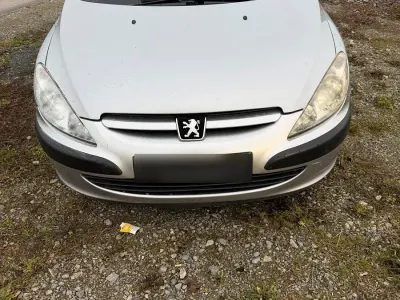 Usata Peugeot 307 109 CV (80 kW) 2001 Argento Utilitaria
