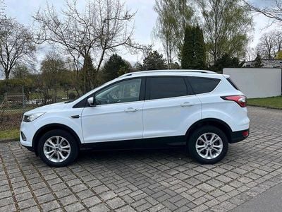 Usata Ford Kuga Titanium 150 CV (110 kW) 2019 Bianco SUV
