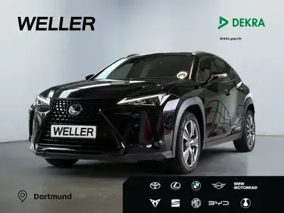 Gebraucht Lexus UX 250h
