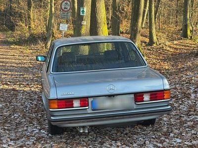 Blau Gebraucht 1983 Mercedes 250 Limousine | 8.950 €