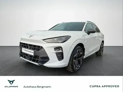 Gebraucht Cupra Terramar