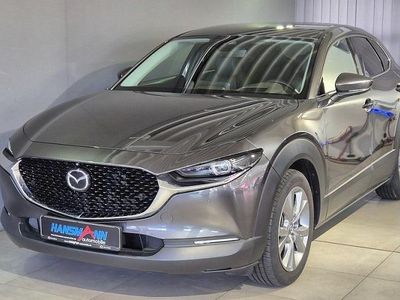 Gebraucht Mazda CX-30 Selection 150 PS (110 kW) 2022 Grau SUV