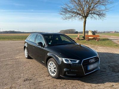 Schwarz Gebraucht 2017 Audi A3 Design Limousine | 16.900 € (Etwas zu teuer)