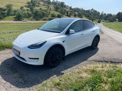 Gebraucht Tesla Model Y RWD 219 kW (299 PS) 2023 Weiß SUV