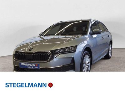 Nuova Skoda Octavia Selection 150 CV (110 kW) 2026 Argento Station wagon