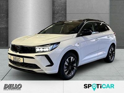 Gebraucht Opel Grandland X Business 131 PS (96 kW) 2023 Jade weiss/arktis weiss SUV