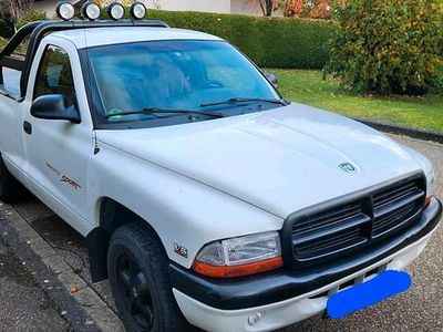 Weiß Gebraucht 1999 Dodge Dakota Abholung | 9.500 €
