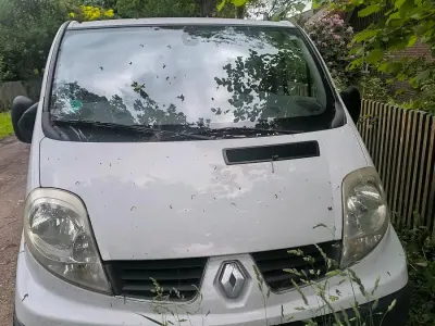Gebraucht Renault Trafic