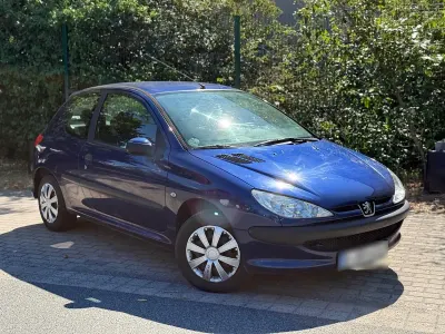 Usata Peugeot 206 55 CV (40 kW) 2005 Blu Utilitaria