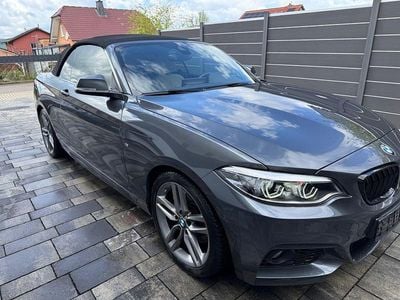 Usado BMW 225 M Sport 224 CV (164 kW) 2019 Gris Descapotable
