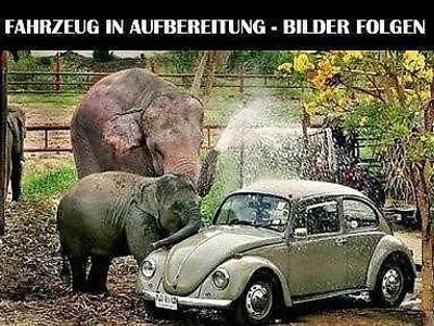 Schwarz Gebraucht 2022 VW T-Roc SUV | 17.950 € (Superpreis)