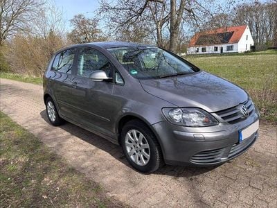 Usata VW Golf Plus Cross Comfortline 102 CV (75 kW) 2006 Grigio Monovolume