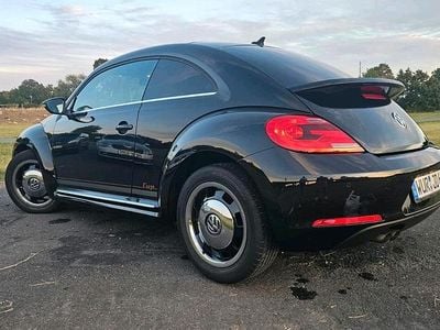 VW Beetle