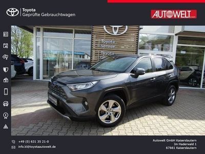 gebraucht Toyota RAV4 Hybrid Grundausstattung (inkl. Anti-Theft Pack)