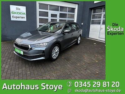 Grau Gebraucht 2024 Skoda Octavia Selection Kombi | 27.500 € (Superpreis)