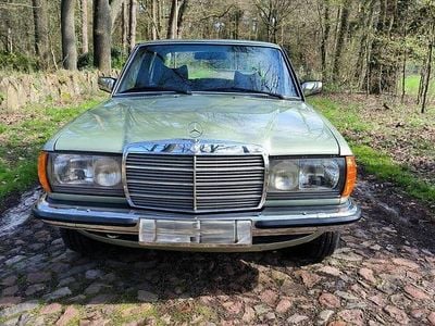 Grün Gebraucht 1979 Mercedes 280 Limousine | 15.750 €