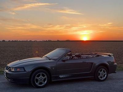 Grau Gebraucht 2003 Ford Mustang Cabrio | 6.400 €