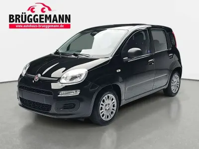 Neu Fiat Panda Icon 65 PS (47 kW) 2026 Cinema schwarz Kleinwagen