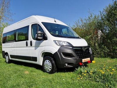 gebraucht Opel Movano Ducato 9 Sitzer Systemboden Braun Airline Handicas