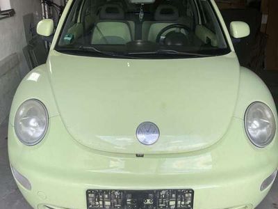 VW Beetle