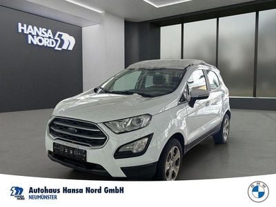 Gebraucht Ford Ecosport Cool & Connect 101 PS (74 kW) 2019 Weiss / frozen white SUV