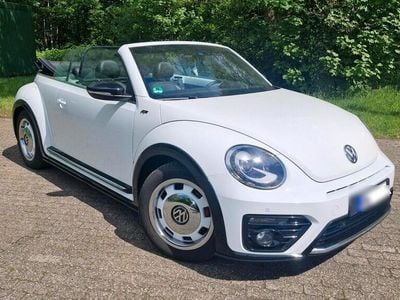 VW Beetle