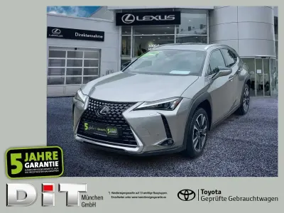 Gebraucht Lexus UX 250h 184 PS (135 kW) 2023 Silber SUV