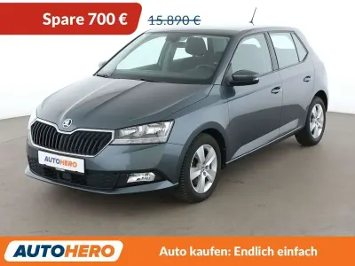 Gebraucht Skoda Fabia Style 95 PS (69 kW) 2021 Grau Kleinwagen