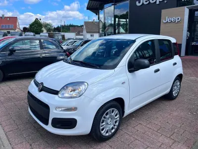 Neu Fiat Panda 65 PS (47 kW) 2026 Weiß Kleinwagen