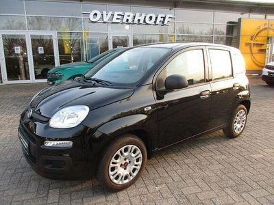 Gebraucht Fiat Panda Easy 69 PS (50 kW) 2019 Schwarz Kleinwagen