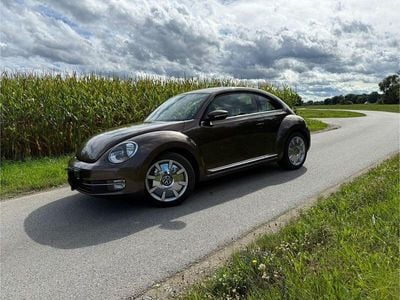 VW Beetle
