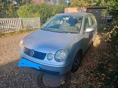 VW Polo