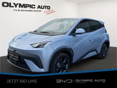 Neu BYD Dolphin Surf Comfort 114 kW (156 PS) 2026 Ice blue Kleinwagen