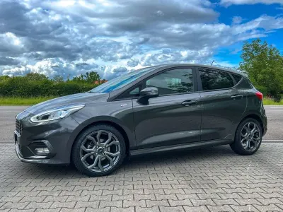 Używany Ford Fiesta ST-Line 86 KM (63 kW) 2019 Szary Hatchback