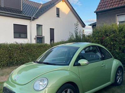 VW Beetle