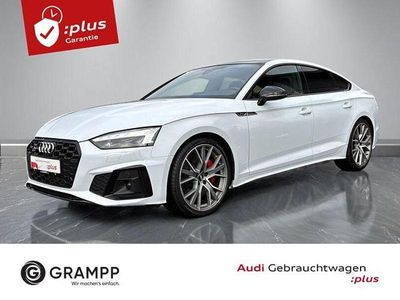 Gebraucht Audi S5 Basis 347 PS (255 kW) 2020 Gletscherweiß metallic Coupé