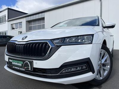Gebraucht Skoda Octavia Style 116 PS (85 kW) 2023 Candyweiss Kombi
