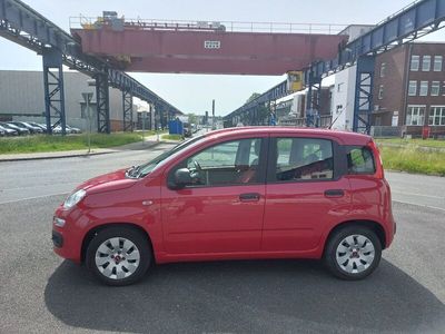 gebraucht Fiat Panda 1. Hand TÜV neu Garagenwagen