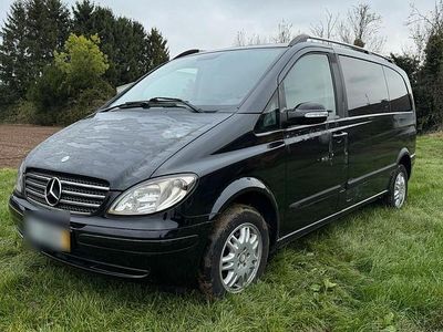 Mercedes Viano