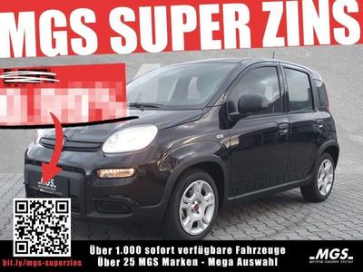 gebraucht Fiat Panda # # #