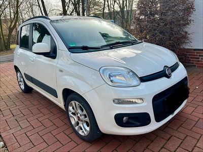Gebraucht Fiat Panda 86 PS (63 kW) 2012 Weiß Kleinwagen