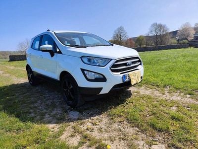 Usata Ford Ecosport 125 CV (91 kW) 2019 Bianco SUV